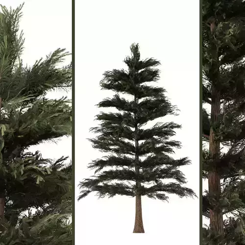 pine tree Low-poly 3D model