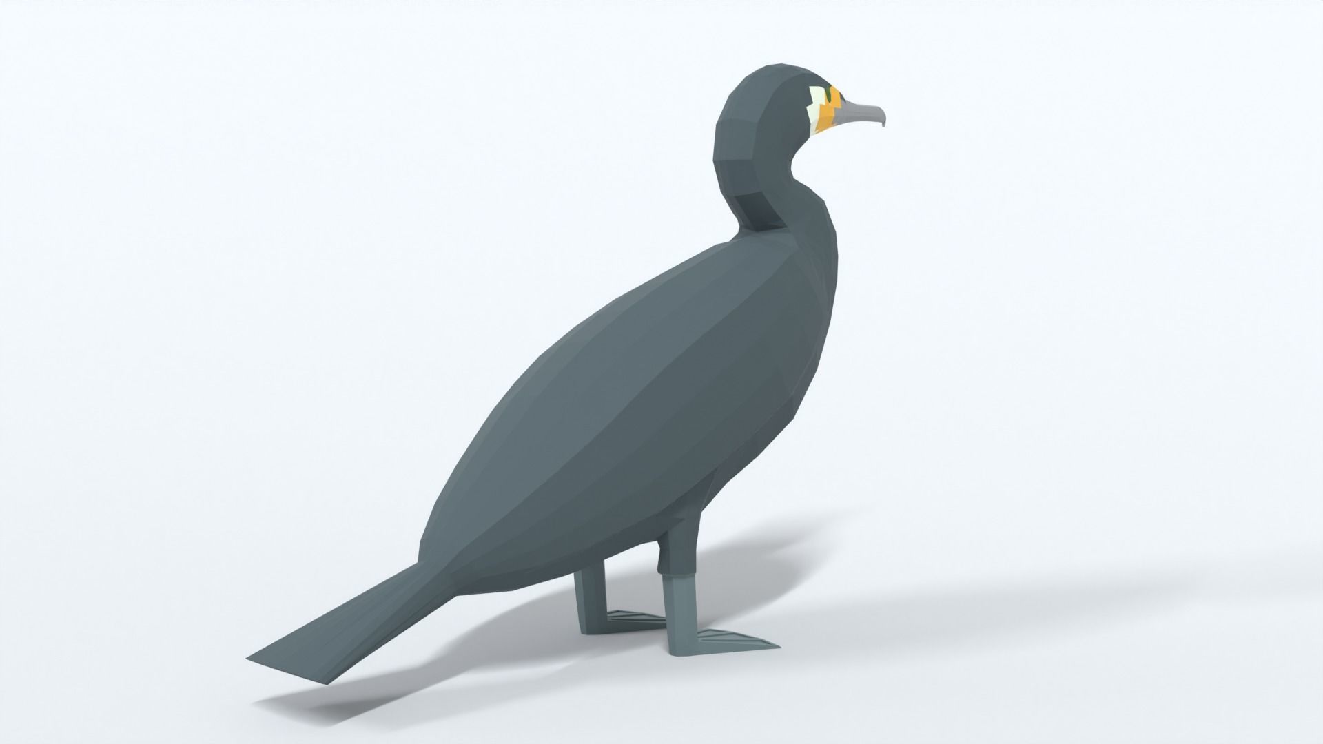 Low Poly Cartoon Great Cormorant Low-poly 3D model_4
