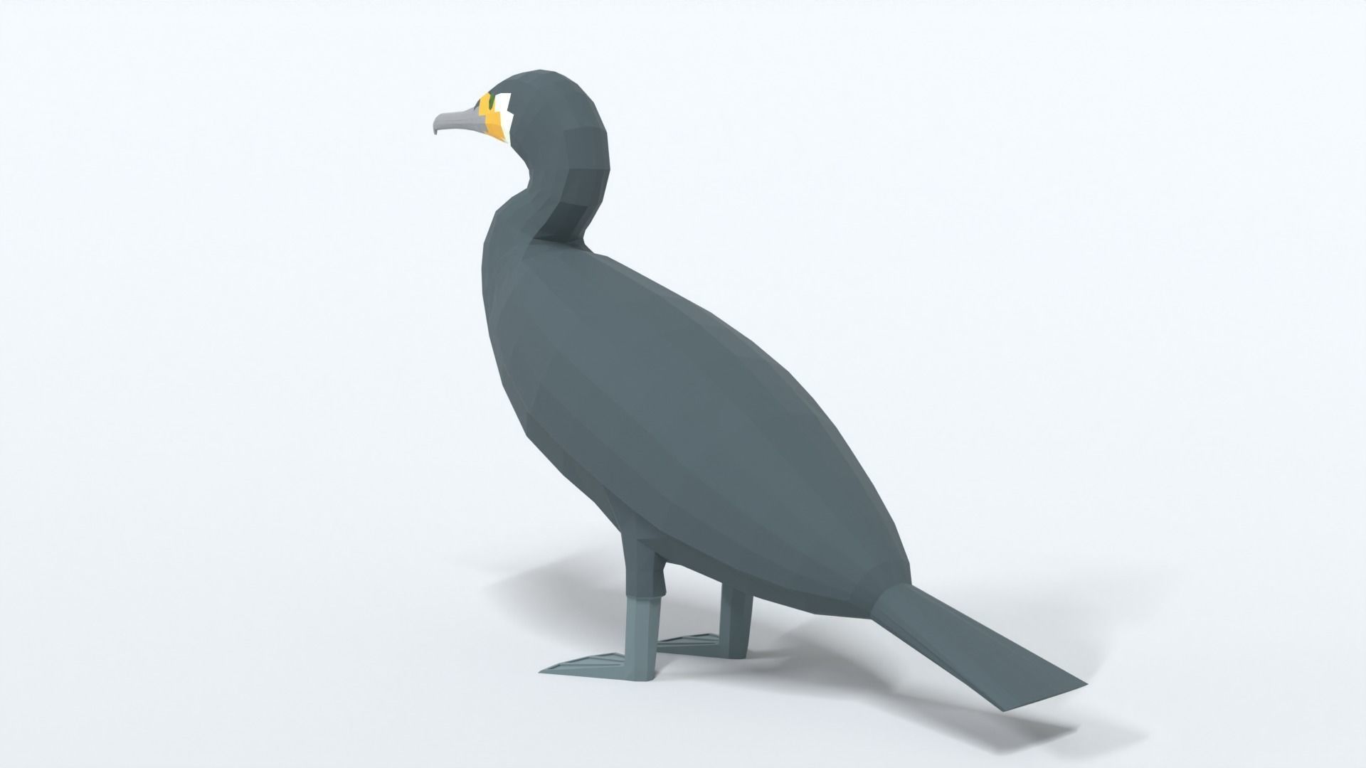 Low Poly Cartoon Great Cormorant Low-poly 3D model_2