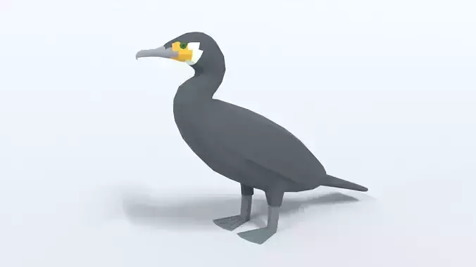 Low Poly Cartoon Great Cormorant