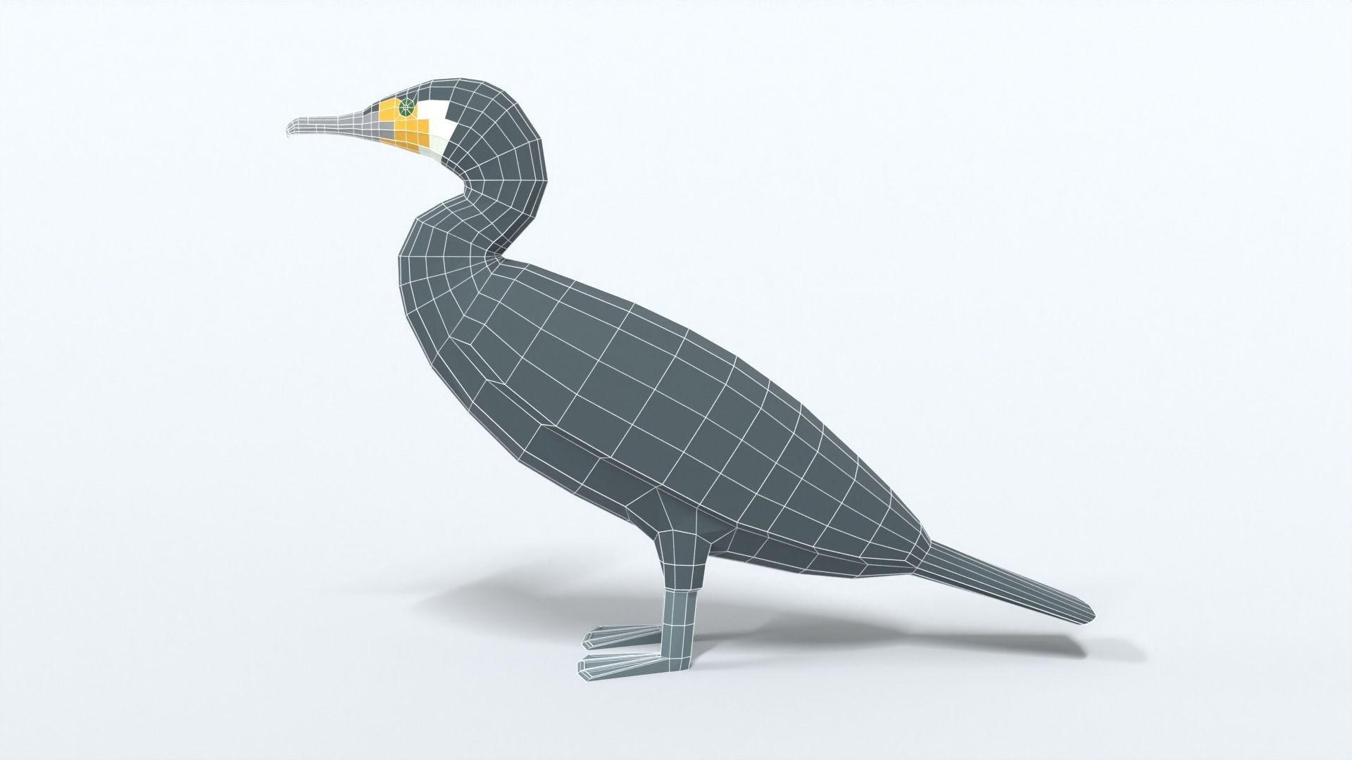 Low Poly Cartoon Great Cormorant Low-poly 3D model_10