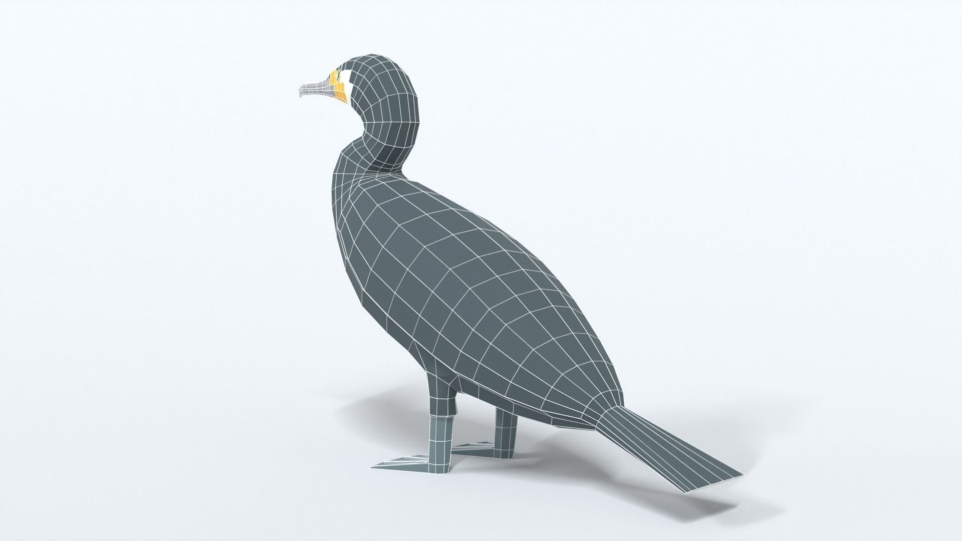 Low Poly Cartoon Great Cormorant Low-poly 3D model_11