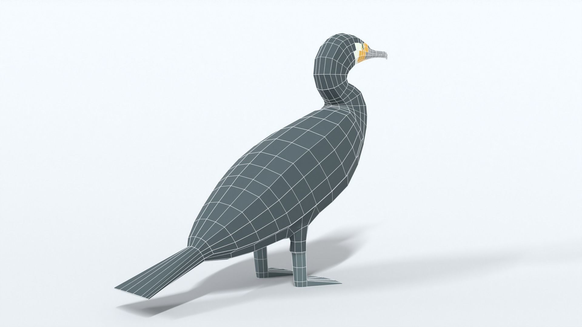 Low Poly Cartoon Great Cormorant Low-poly 3D model_13