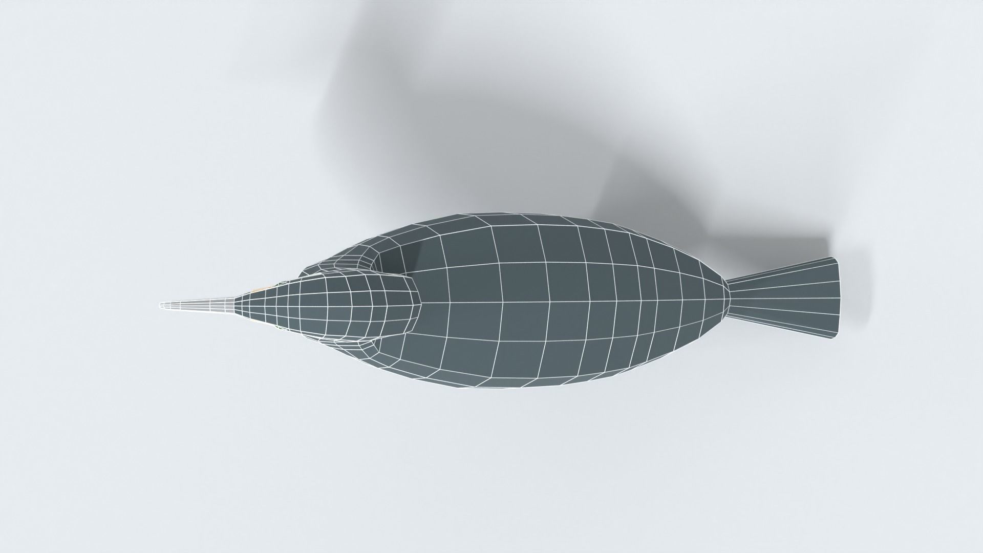 Low Poly Cartoon Great Cormorant Low-poly 3D model_17