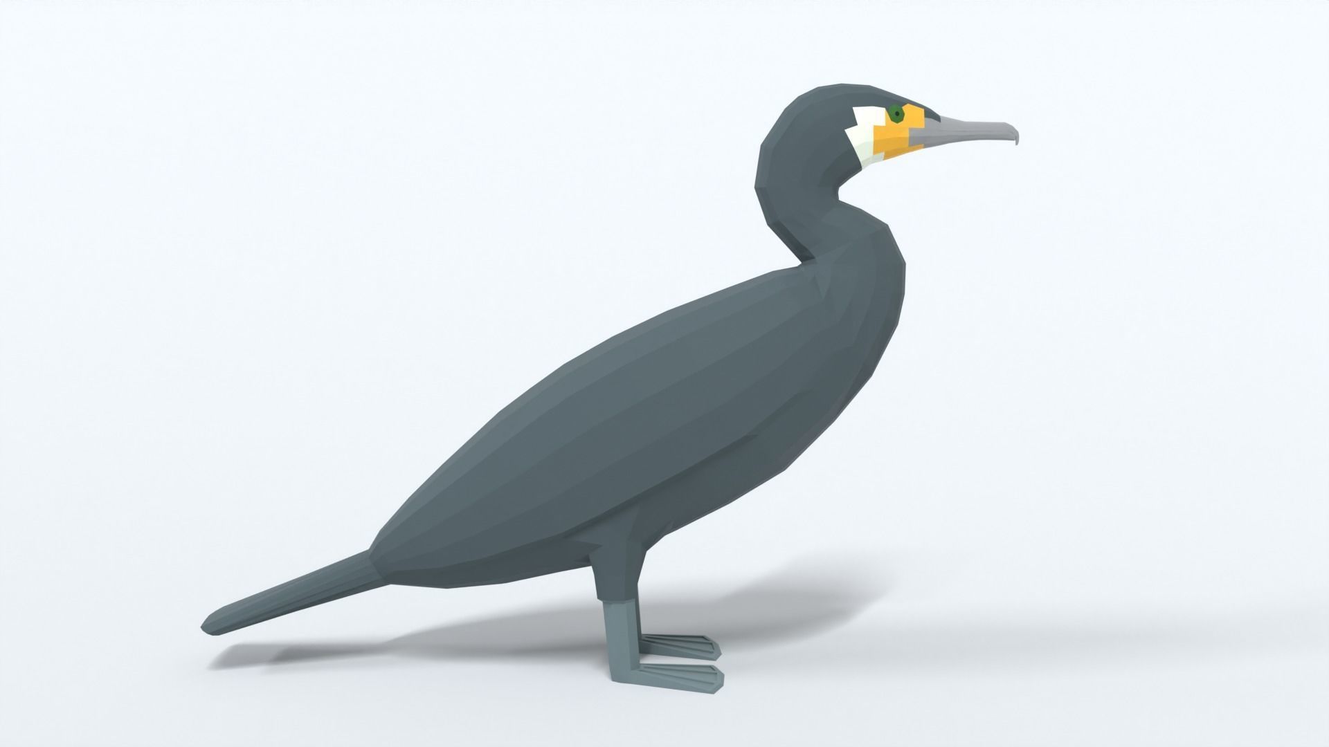 Low Poly Cartoon Great Cormorant Low-poly 3D model_5