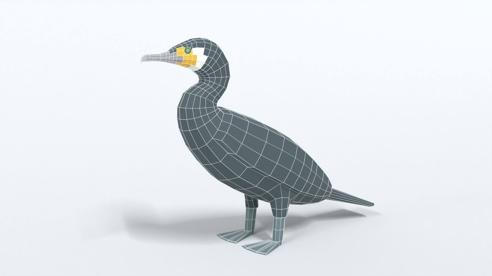 Low Poly Cartoon Great Cormorant Low-poly 3D model_9