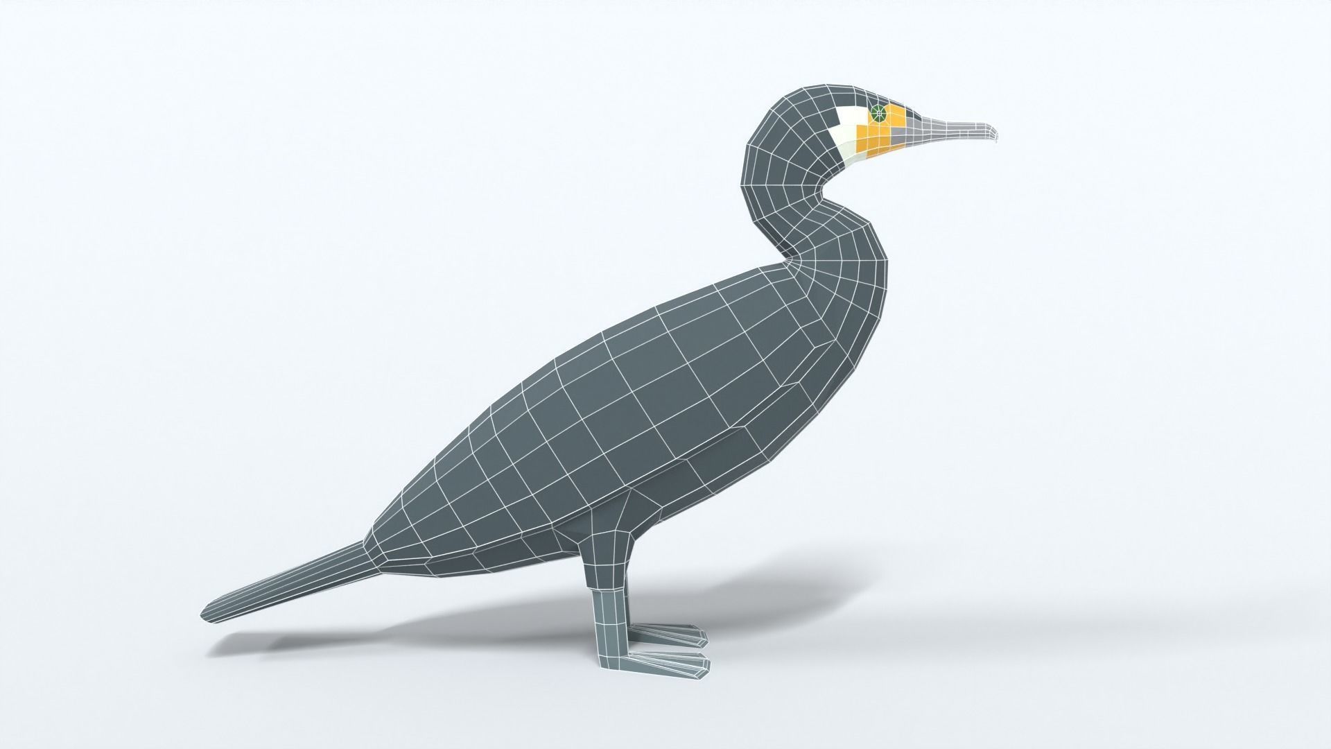 Low Poly Cartoon Great Cormorant Low-poly 3D model_14