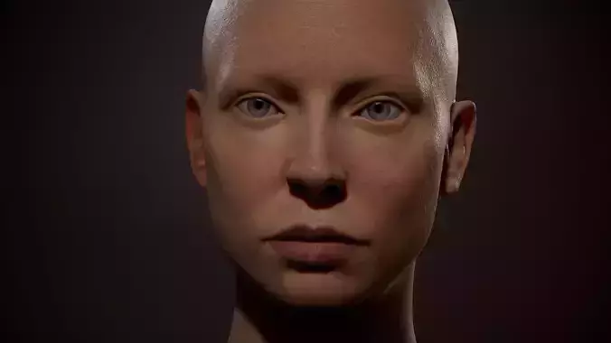  Realistic female head