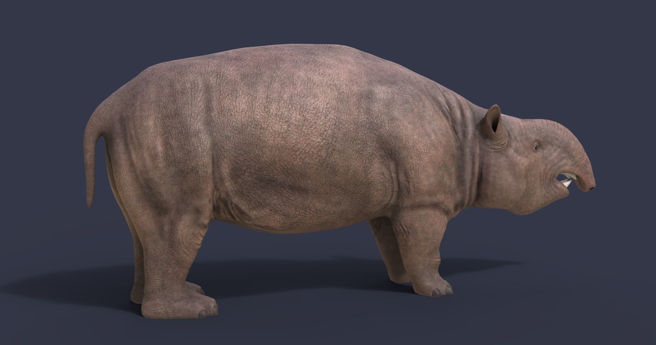 Pyrotherium romeroi Low-poly 3D model_5