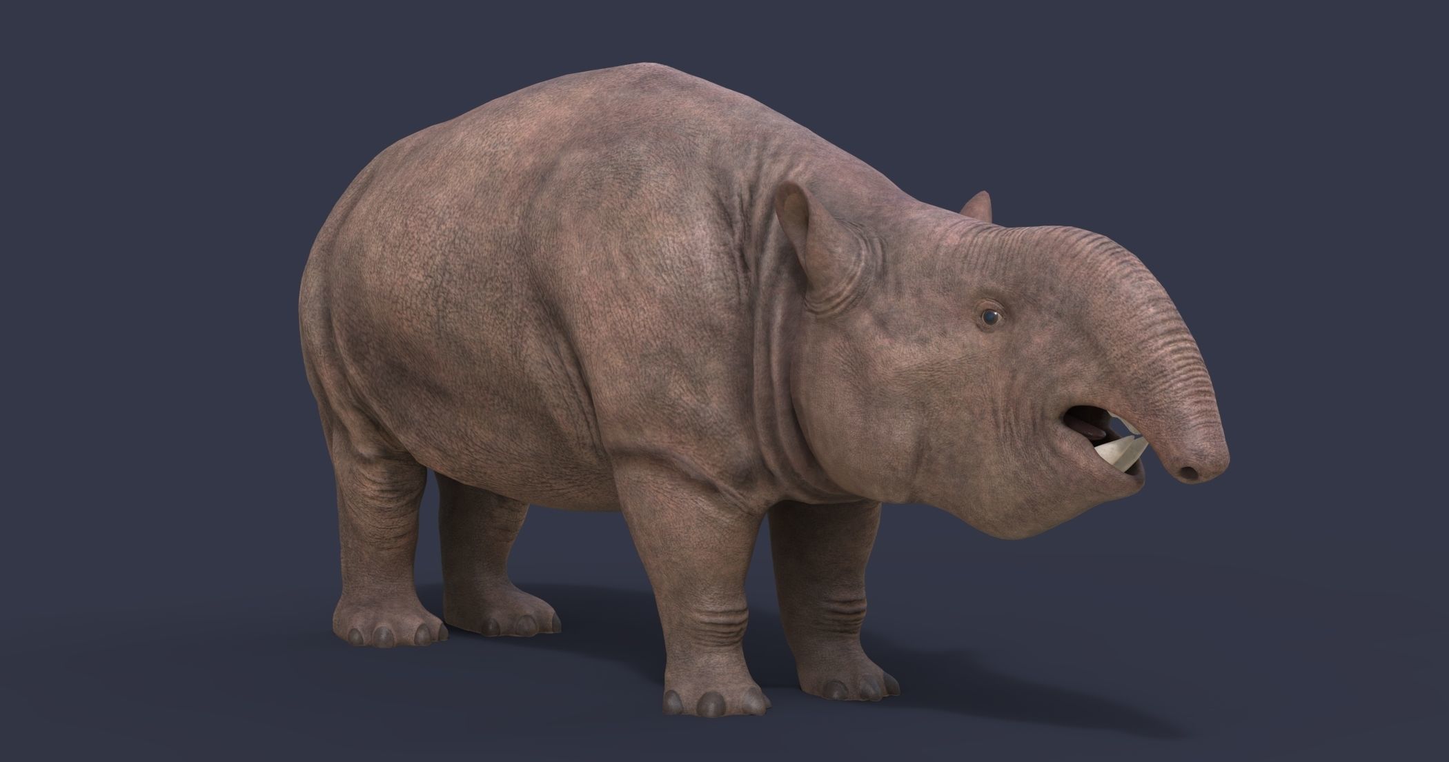 Pyrotherium romeroi Low-poly 3D model_3