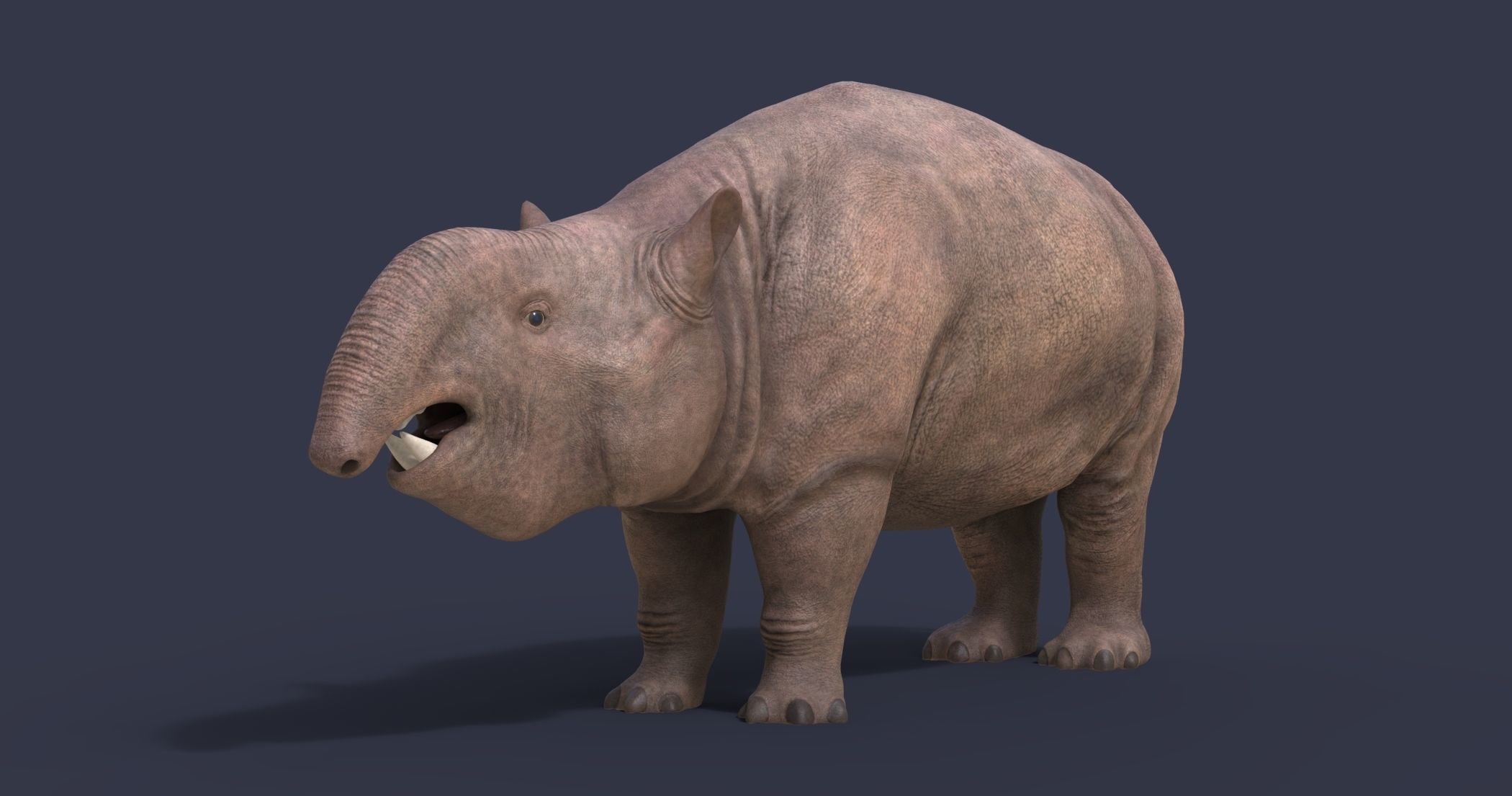 Pyrotherium romeroi Low-poly 3D model_2