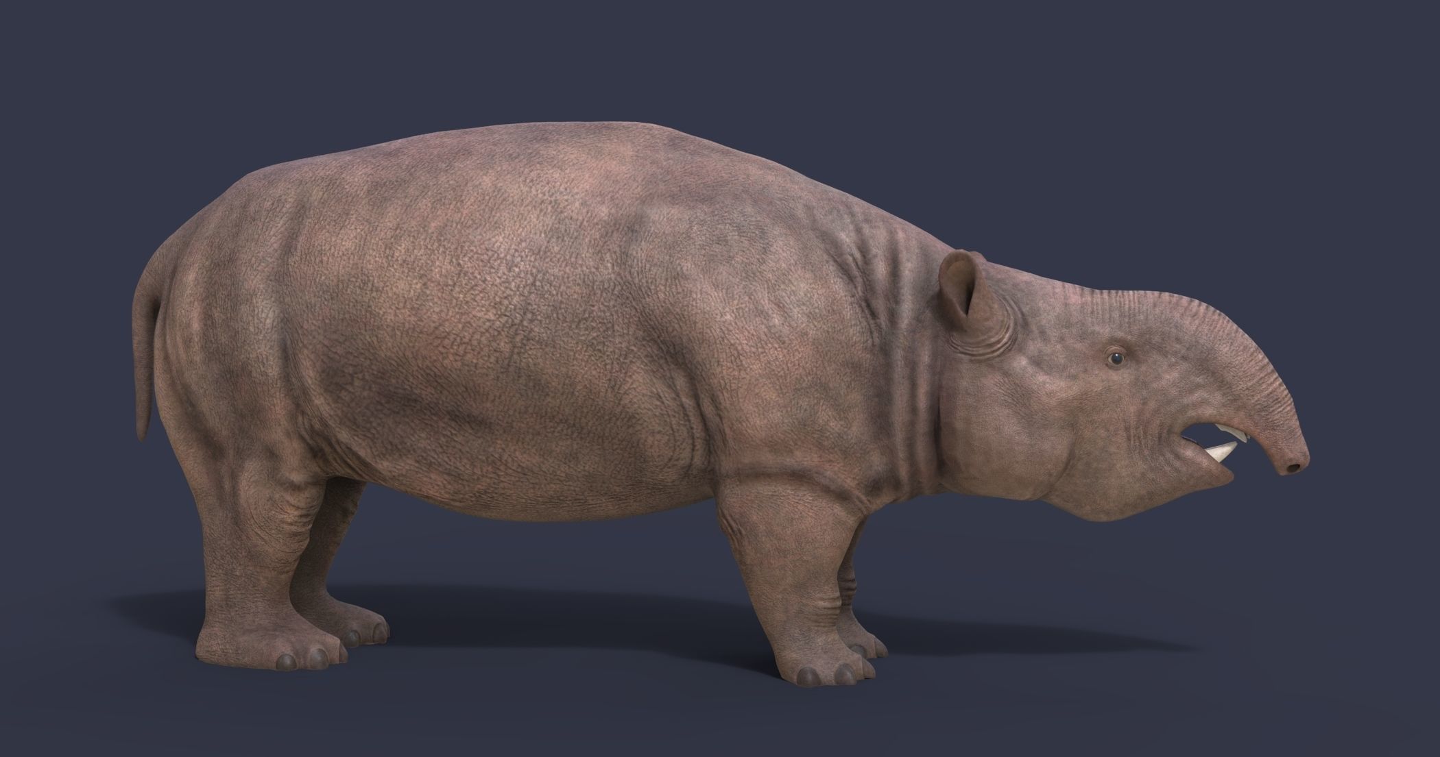 Pyrotherium romeroi Low-poly 3D model_4