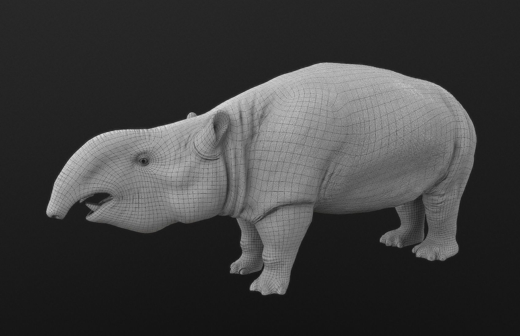 Pyrotherium romeroi Low-poly 3D model_6