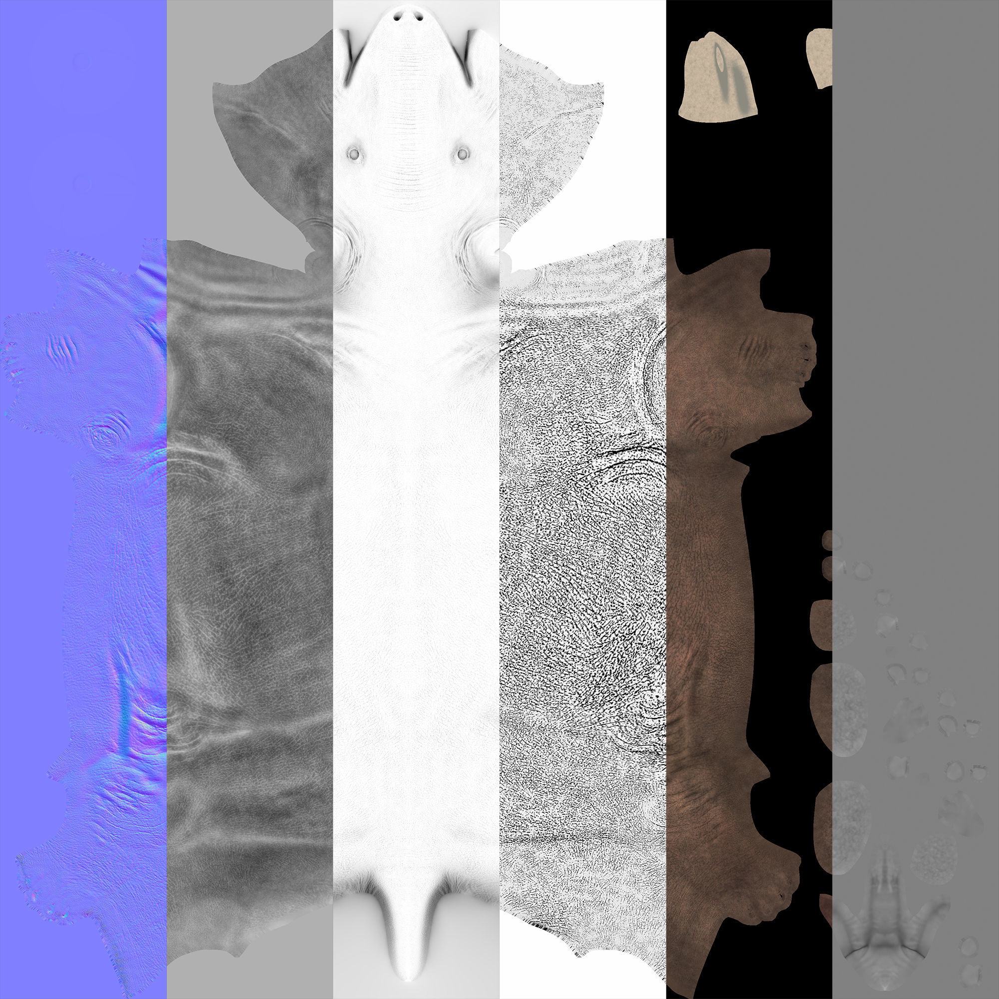 Pyrotherium romeroi Low-poly 3D model_7