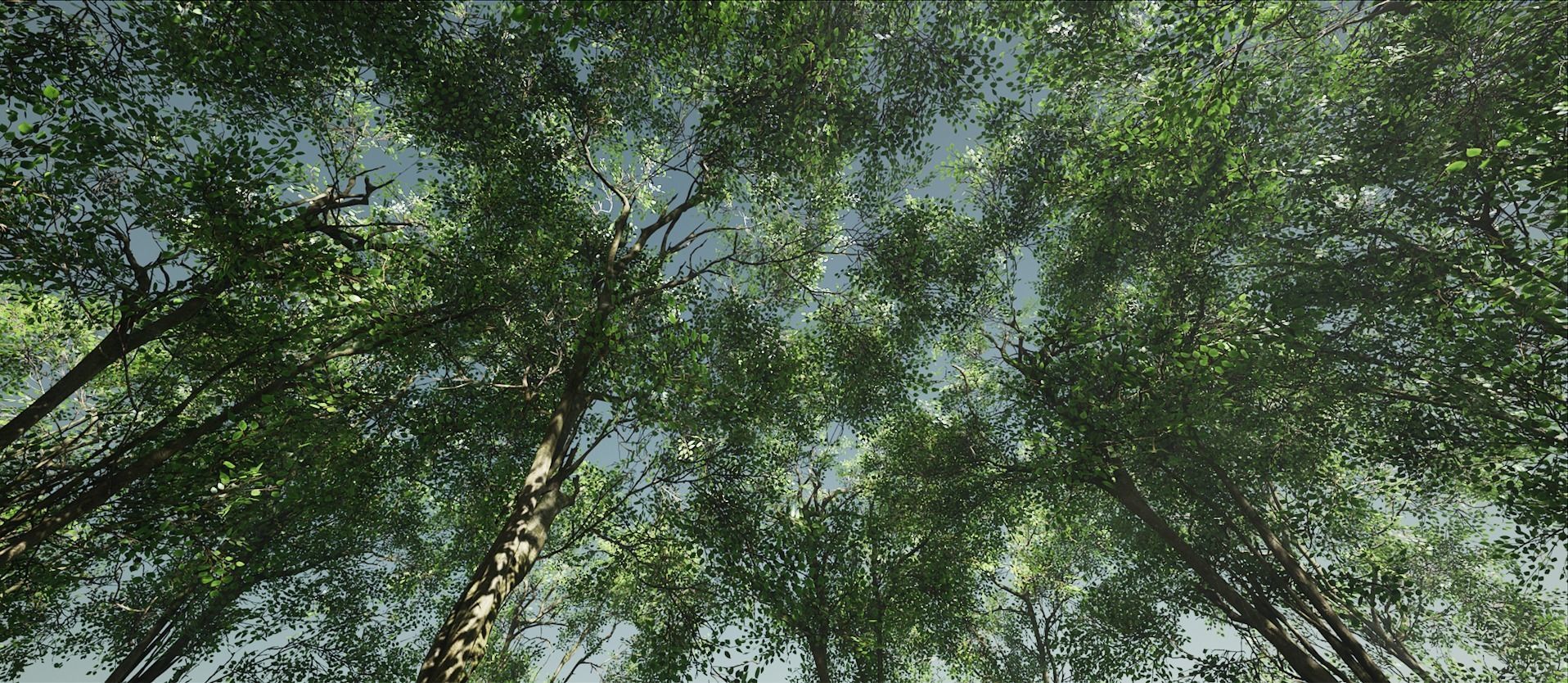 Small Vegetation pack for UE4 Low-poly 3D model_2