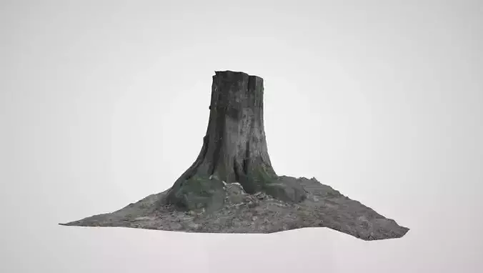 Scanned-Tree tree stump