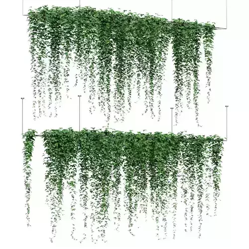 Ivy hanging on grid for ceiling  - 2 models