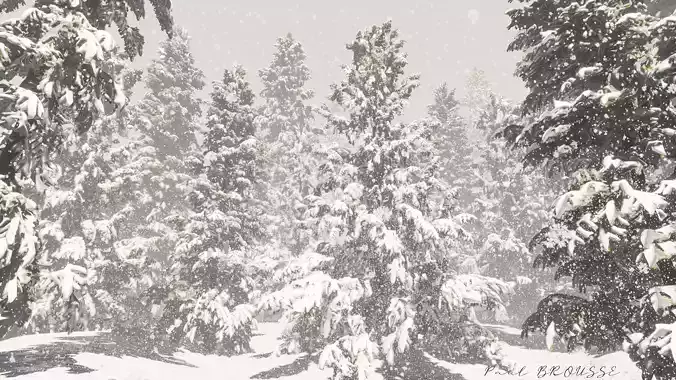 Snow trees