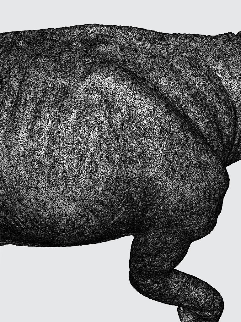 Europasaurus 3d model dinosaur with long neck 3D model_4