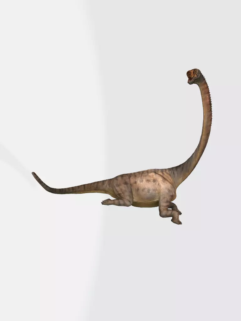Europasaurus 3d model dinosaur with long neck 3D model_0