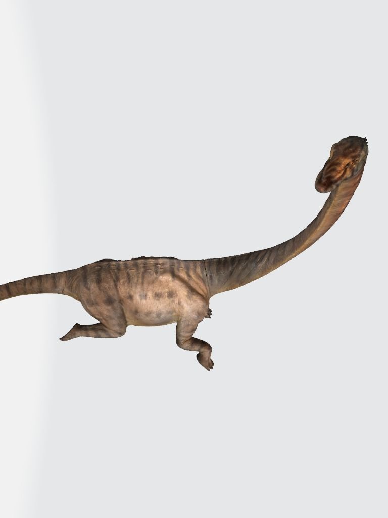Europasaurus 3d model dinosaur with long neck 3D model_6