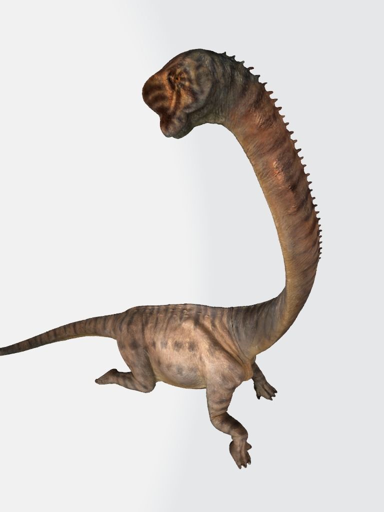 Europasaurus 3d model dinosaur with long neck 3D model_3