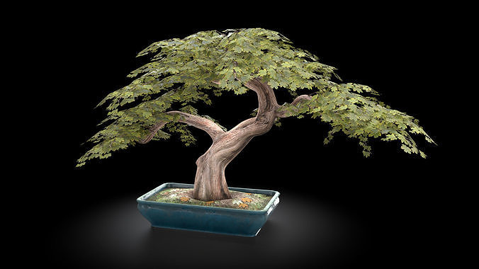 Bonzai Tree Low-poly 3D model