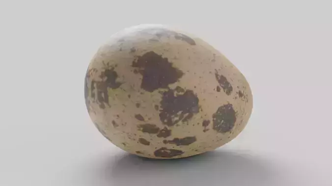 Quail Egg