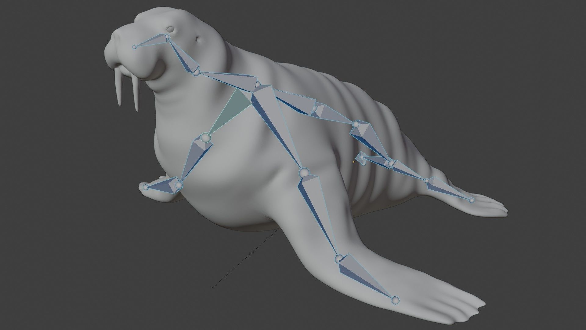Walrus fully rigged 2 3D model_7