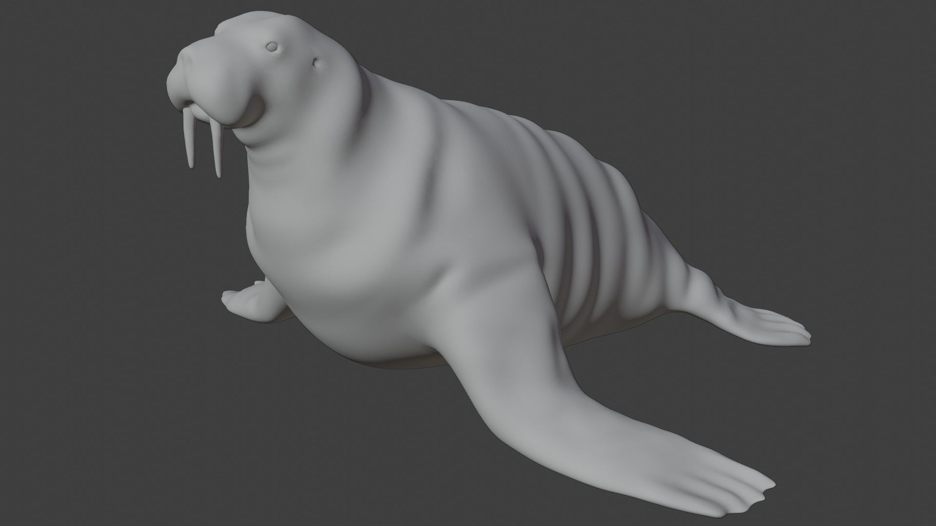 Walrus fully rigged 2 3D model_6