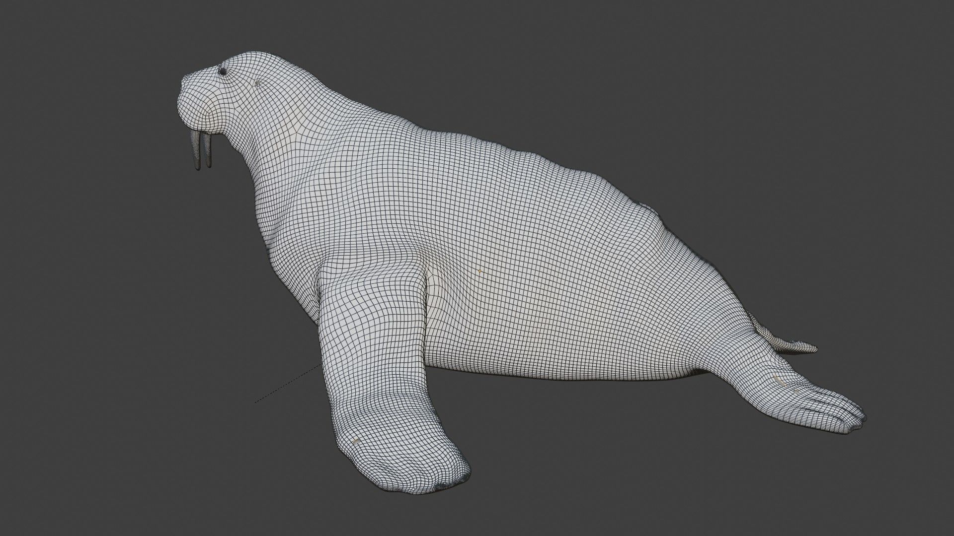Walrus fully rigged 2 3D model_9