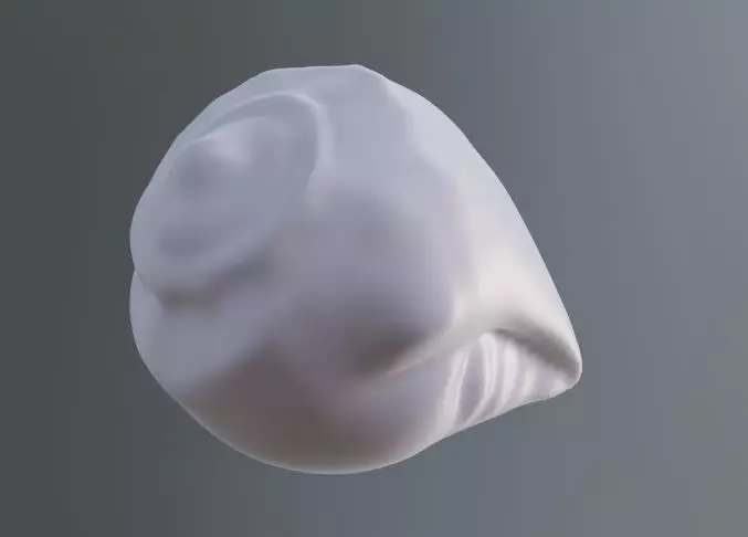 Hindu God Conch Shell 3D model_0