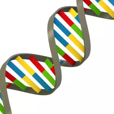 Simple DNA Strand 3D model_0