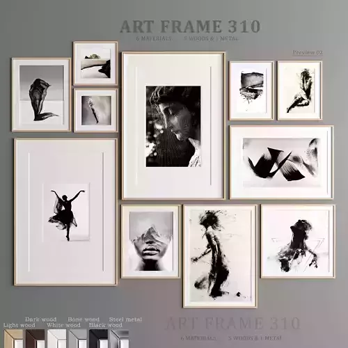 Art Frame 310