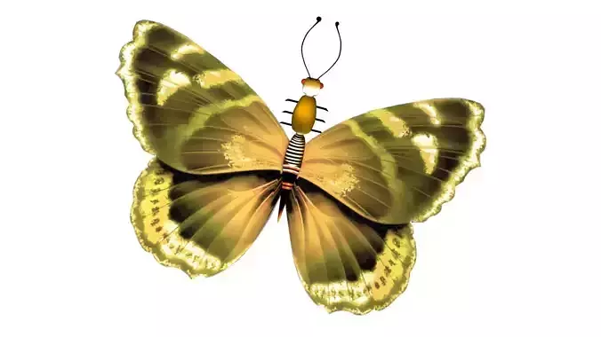 3d Butterfly Model