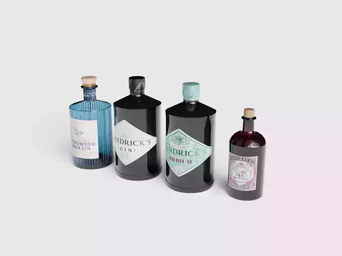 Gin bottles 3d model