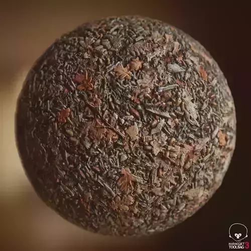 Oak leaves and pebbles forest ground - autumn