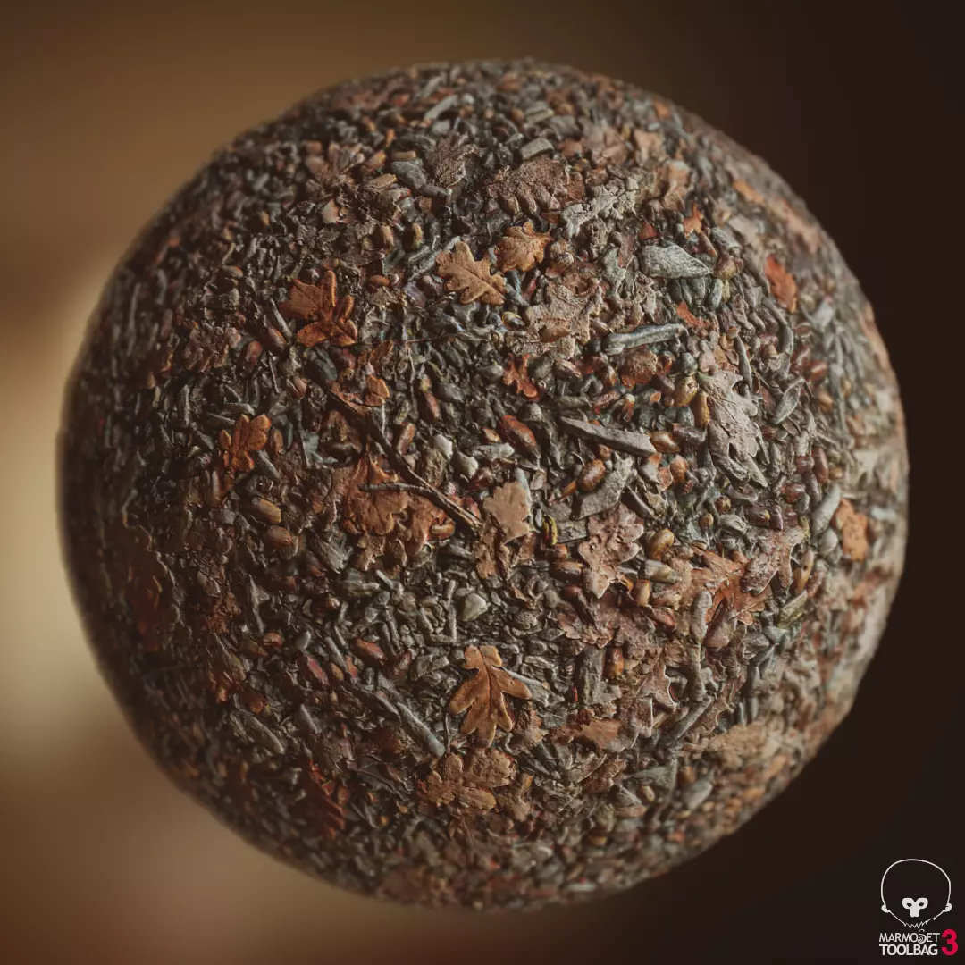 Oak leaves and pebbles forest ground - autumn Texture_0