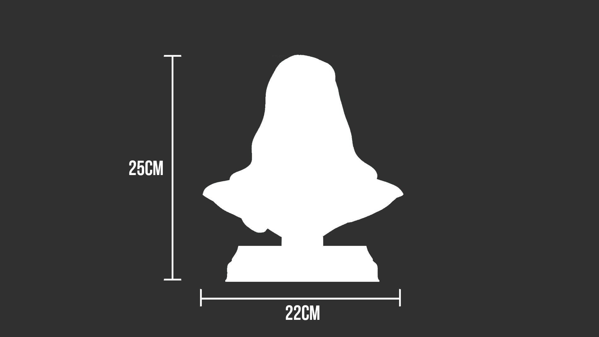 Gandalf Bust - Ian McKellen - Lord of The Rings - Hobbit 3D print model_15