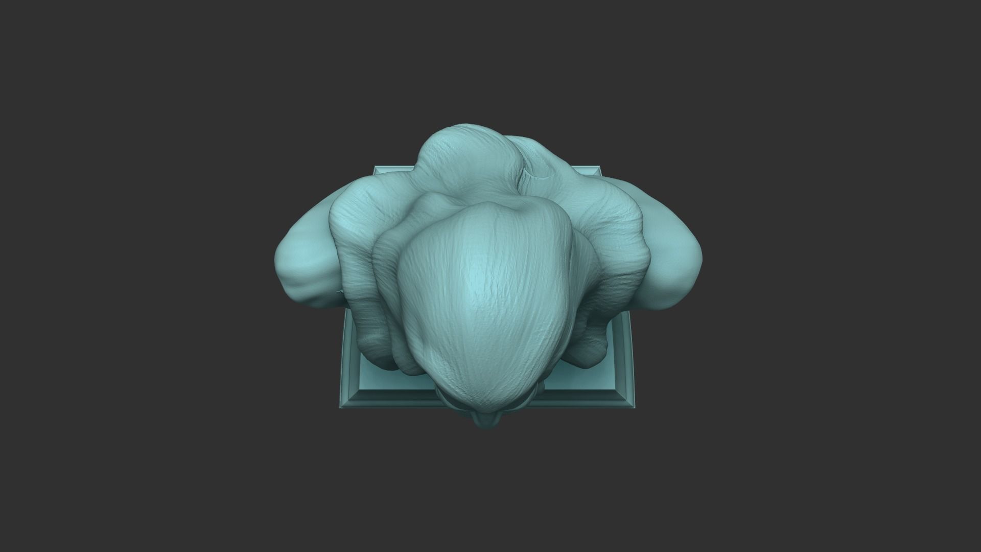 Gandalf Bust - Ian McKellen - Lord of The Rings - Hobbit 3D print model_13