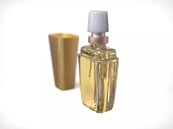 Small Perfume Bottle 3D Model Low-poly 3D model