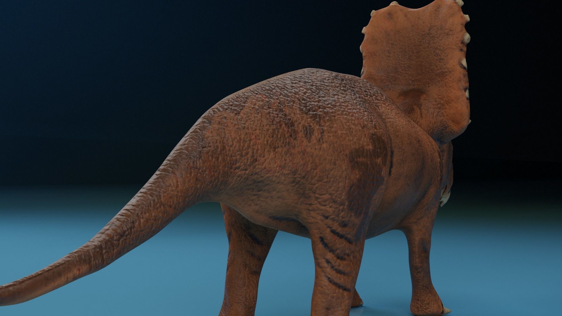Triceratops  Rigged  Blender  Low-Poly Low-poly 3D model_3