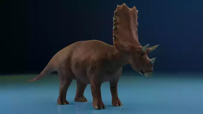 Triceratops  Rigged  Blender  Low-Poly