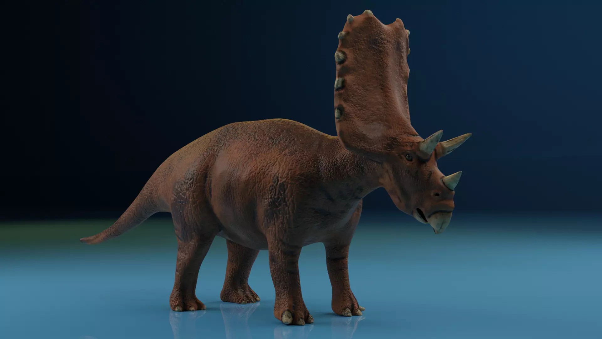 Triceratops  Rigged  Blender  Low-Poly Low-poly 3D model_0