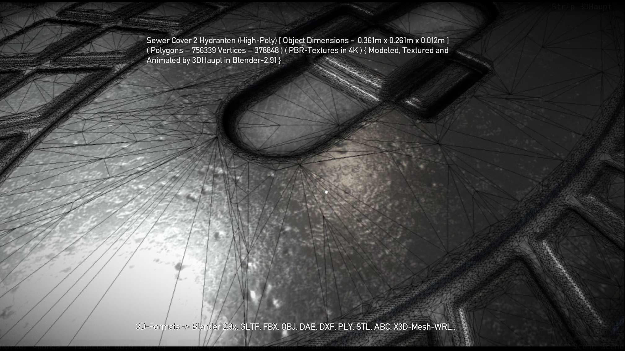 Sewer Cover 2 Hydranten High-Poly 3D model_70