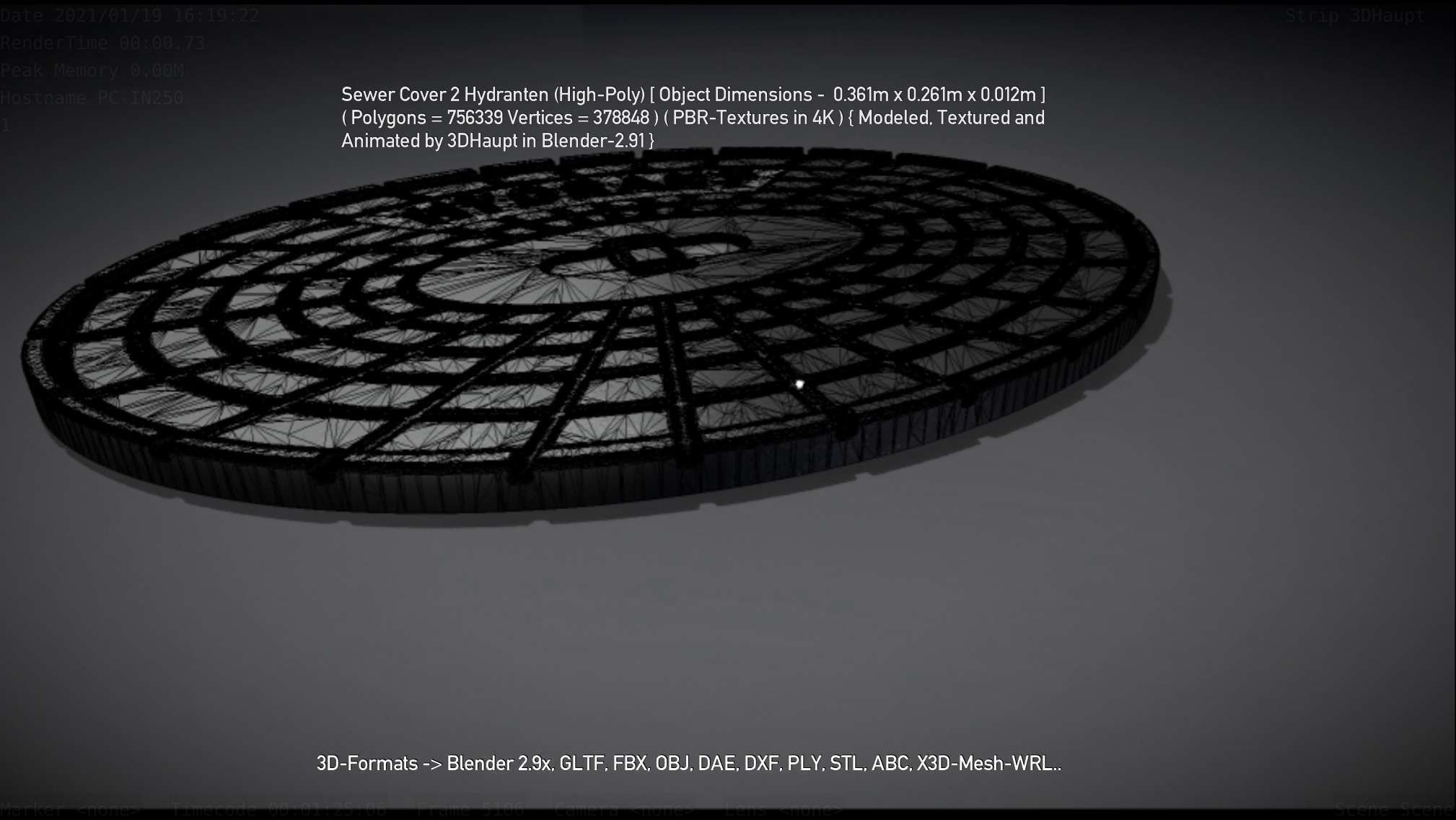 Sewer Cover 2 Hydranten High-Poly 3D model_72