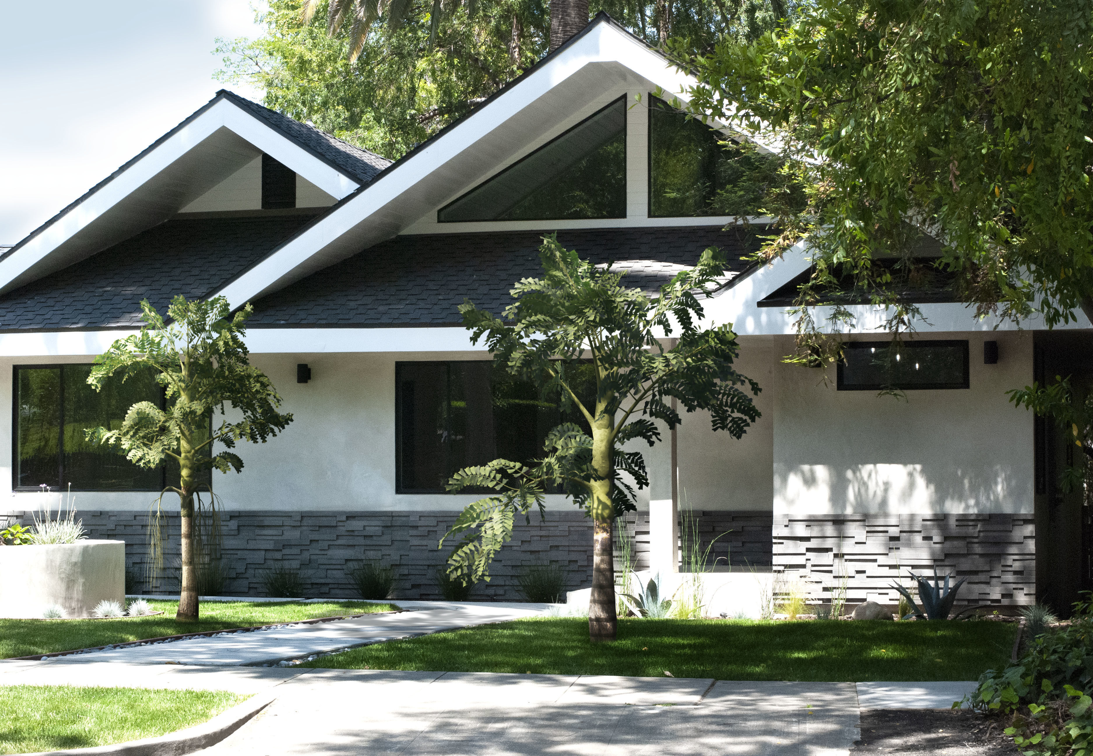 2021 PBR Jaggery Palm Collection - Caryota Urens 3D model_3