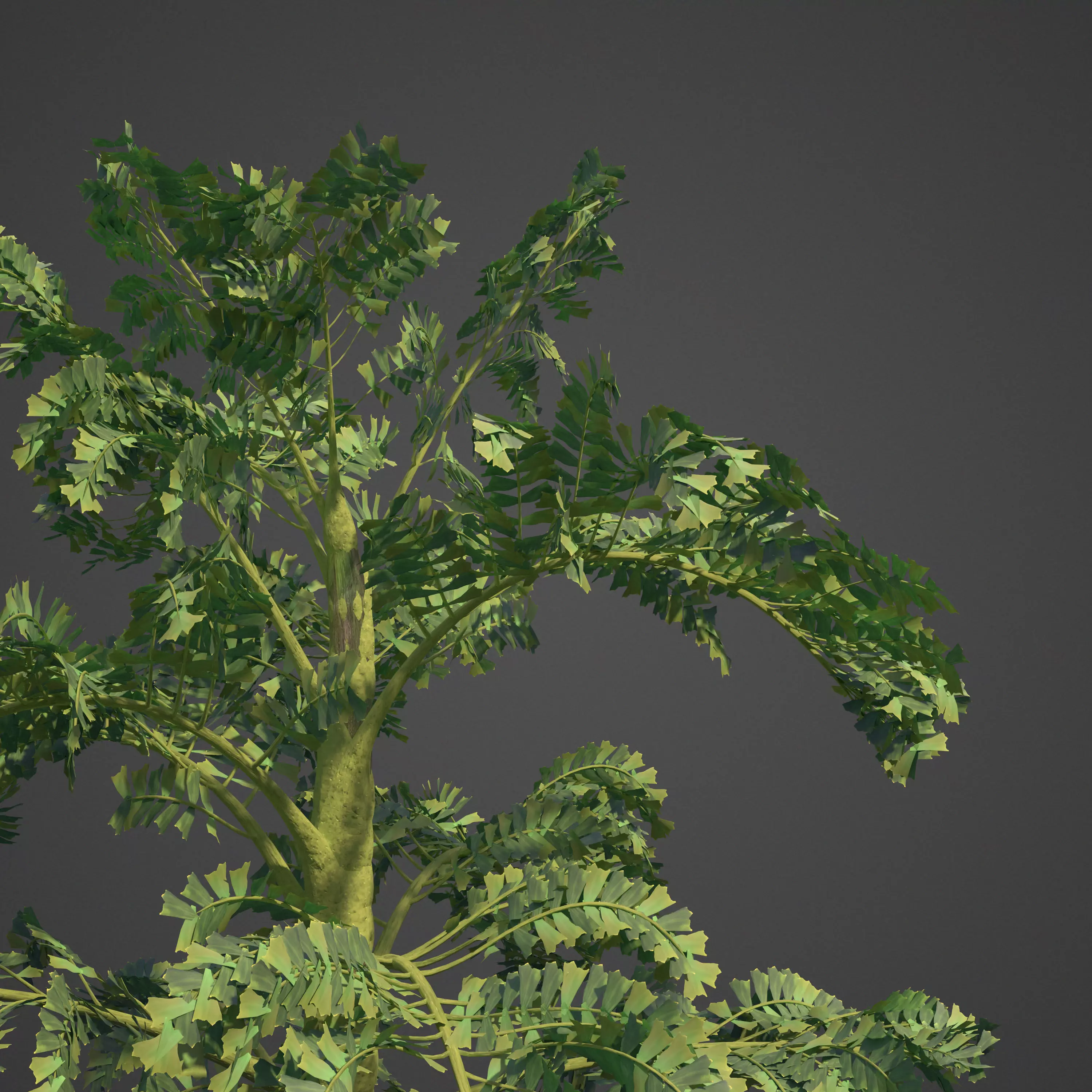2021 PBR Jaggery Palm Collection - Caryota Urens 3D model_0