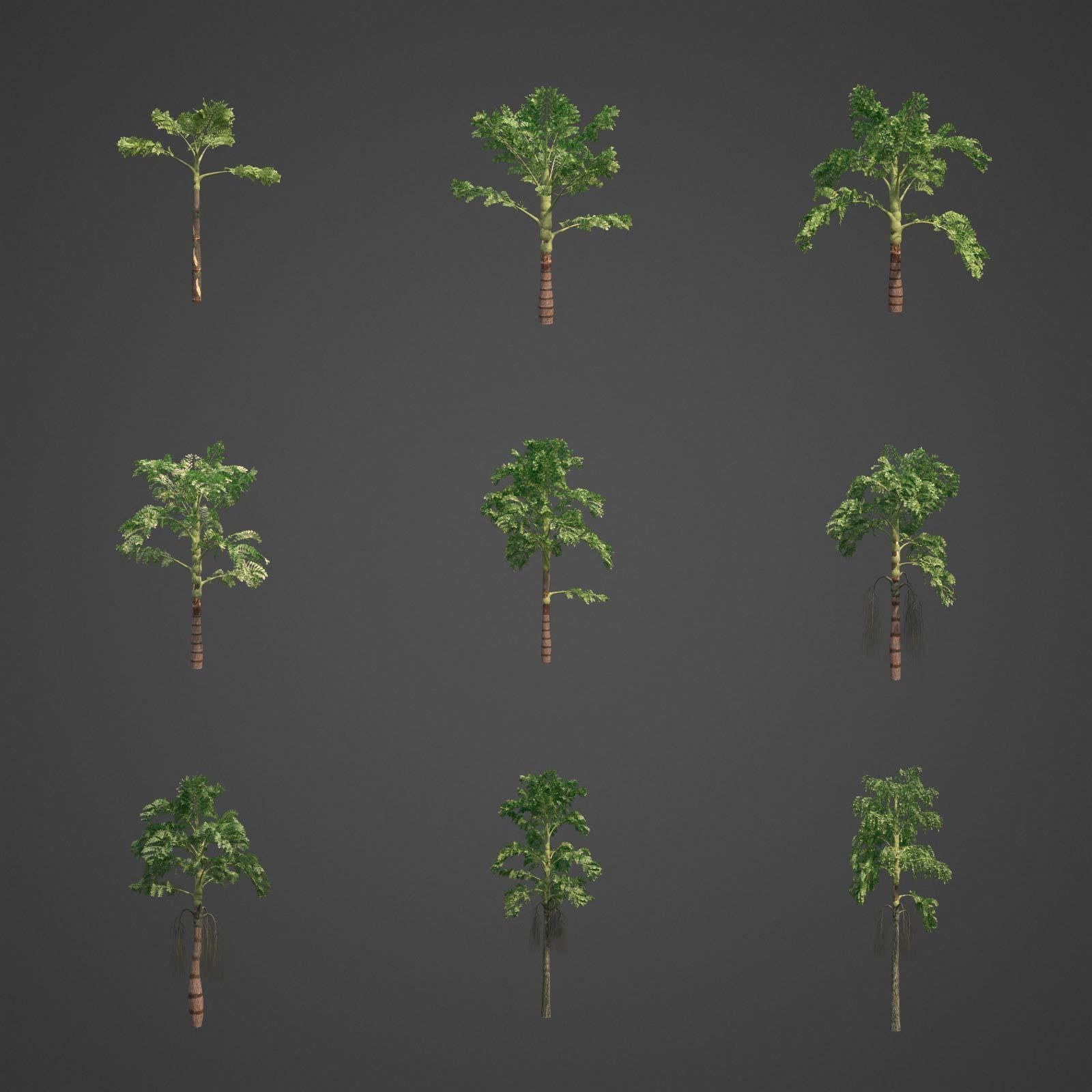 2021 PBR Jaggery Palm Collection - Caryota Urens 3D model_2
