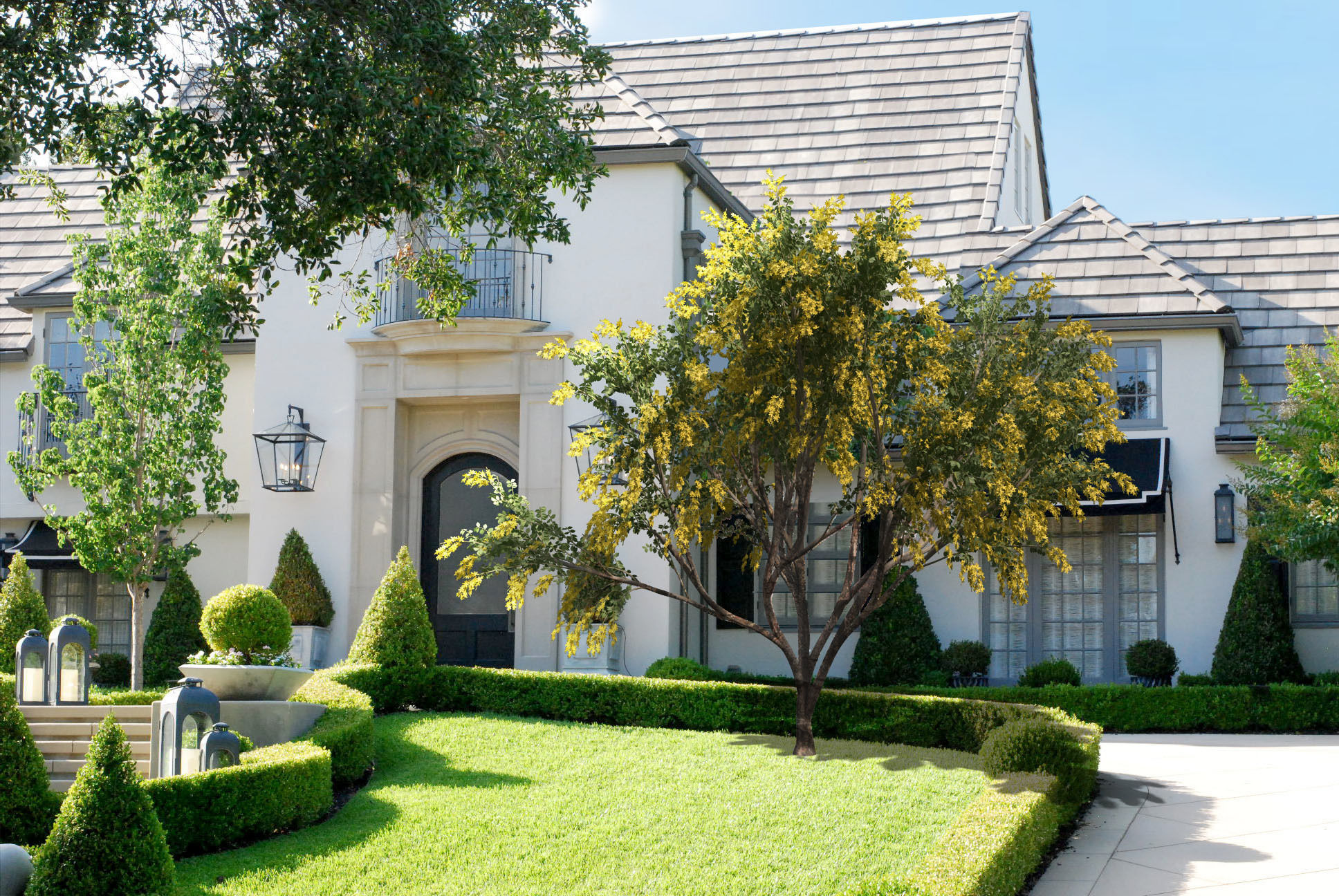 2021 PBR Golden Shower Tree Collection - Cassia Fistula  3D model_3